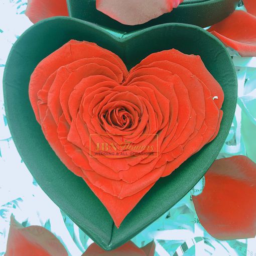 Preserved heart shaped rose
