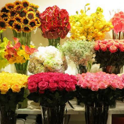 Florist Choice Bouquet 